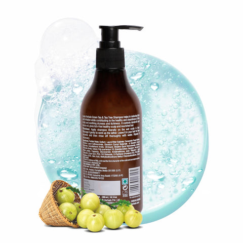 Louis Herbals Green Tea & Tea Tree Anti-Dandruff Shampoo herbal formula to reduce dandruff, control excess oil and soothe scalp irritation