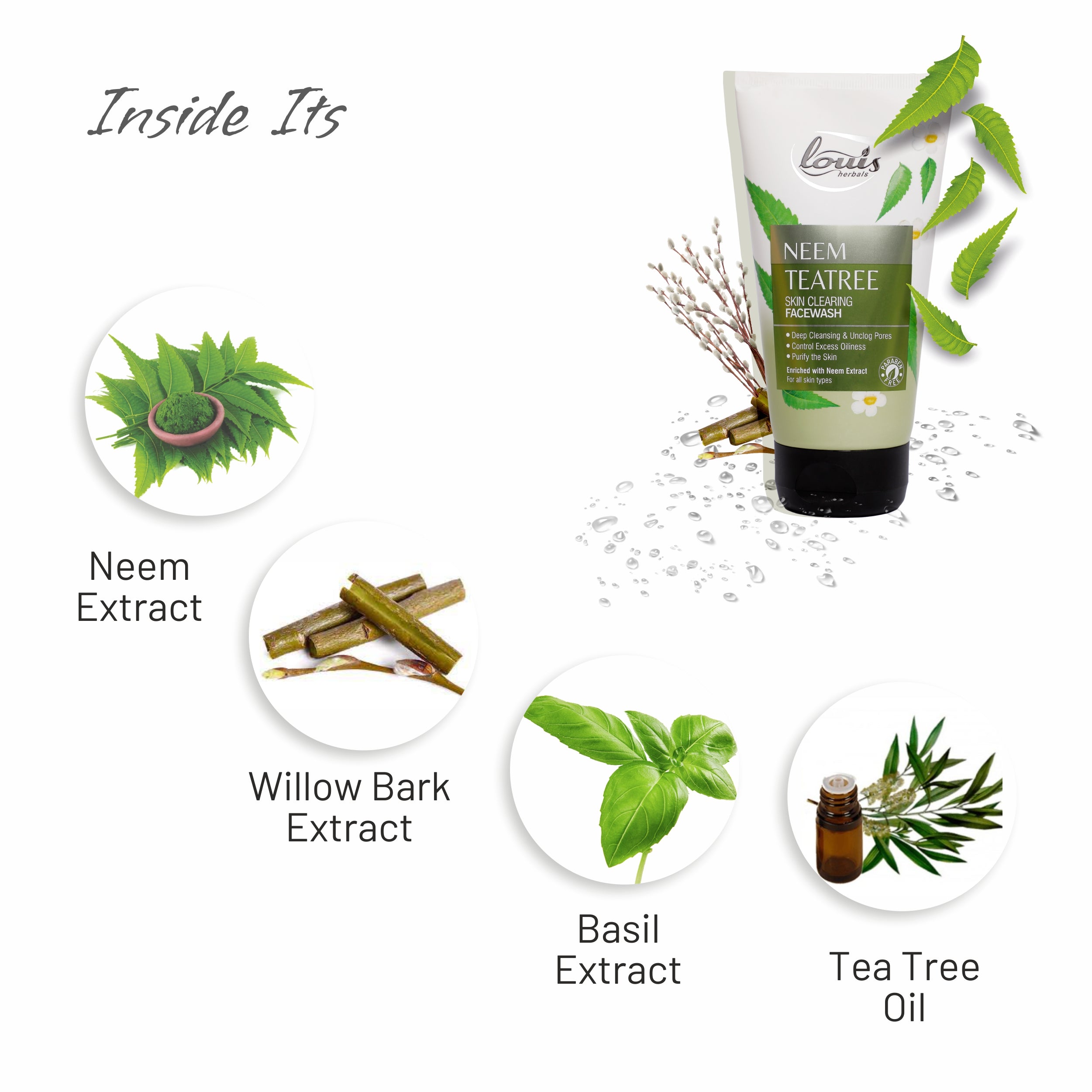 Key ingredients of Neem Tea Tree Face Wash – neem extract, tea tree oil, turmeric extract, and willow bark extract